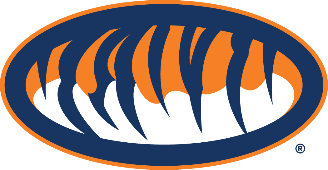 Auburn Tigers 1998-Pres Alternate Logo 02 vinyl decal